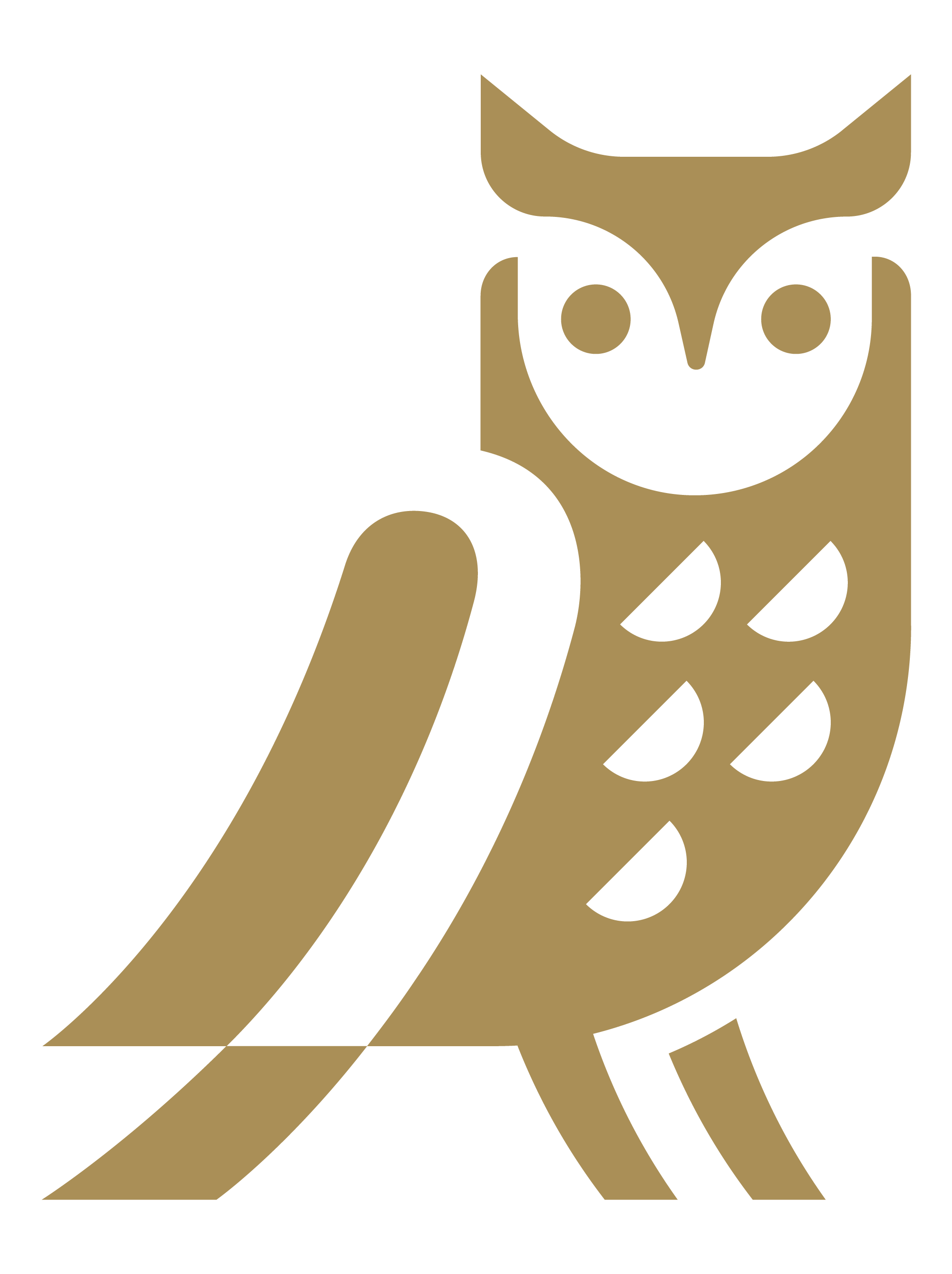 Ambassador Group owl mark